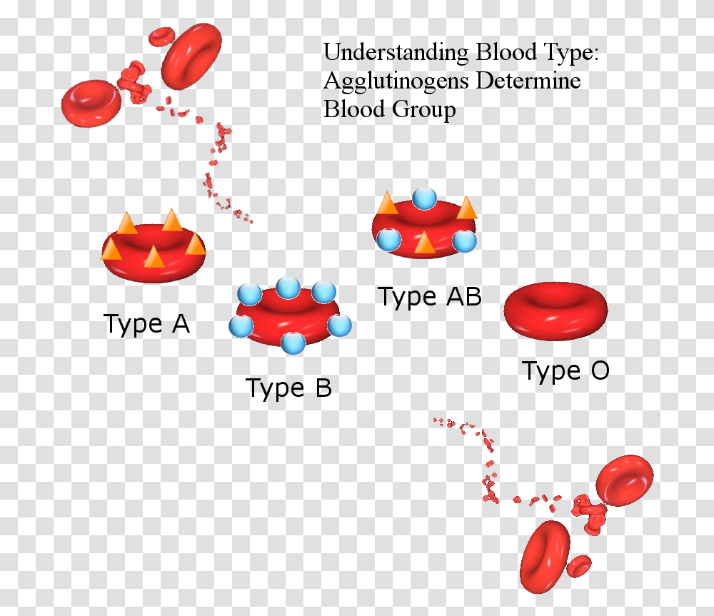 All The Blood Types, Pac Man, Angry Birds, Super Mario Transparent Png