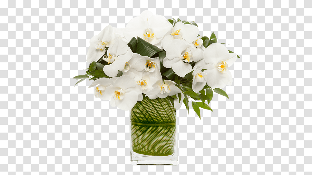 All White Modern Floral Arrangement, Plant, Flower, Flower Bouquet, Flower Arrangement Transparent Png