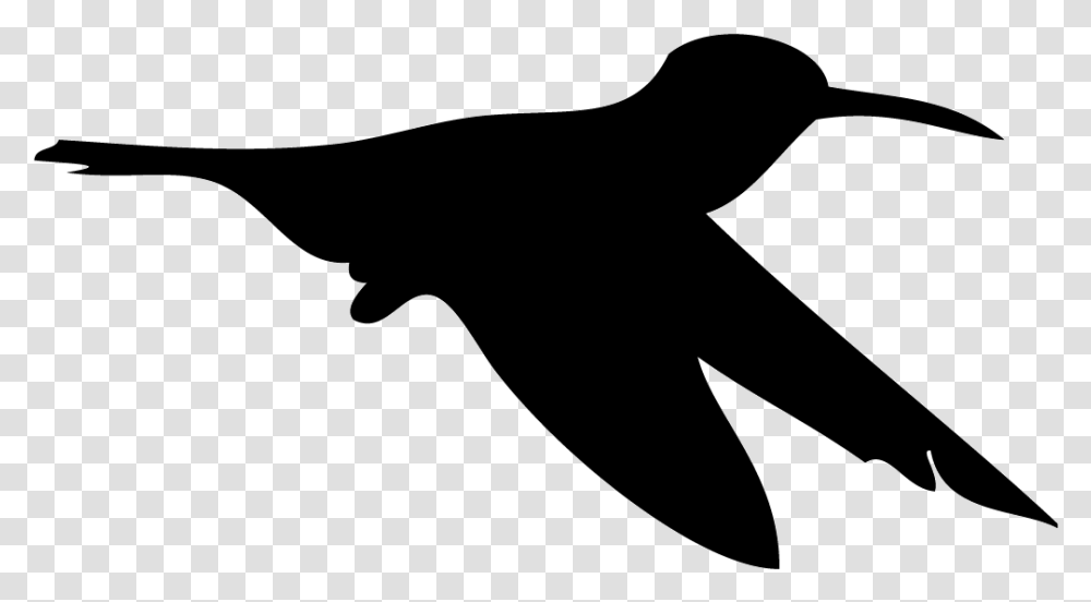 Allen S Hummingbird Overview All About Birds Cornell Broad Tailed Hummingbird Silhouette, Bow, Star Symbol, Animal Transparent Png