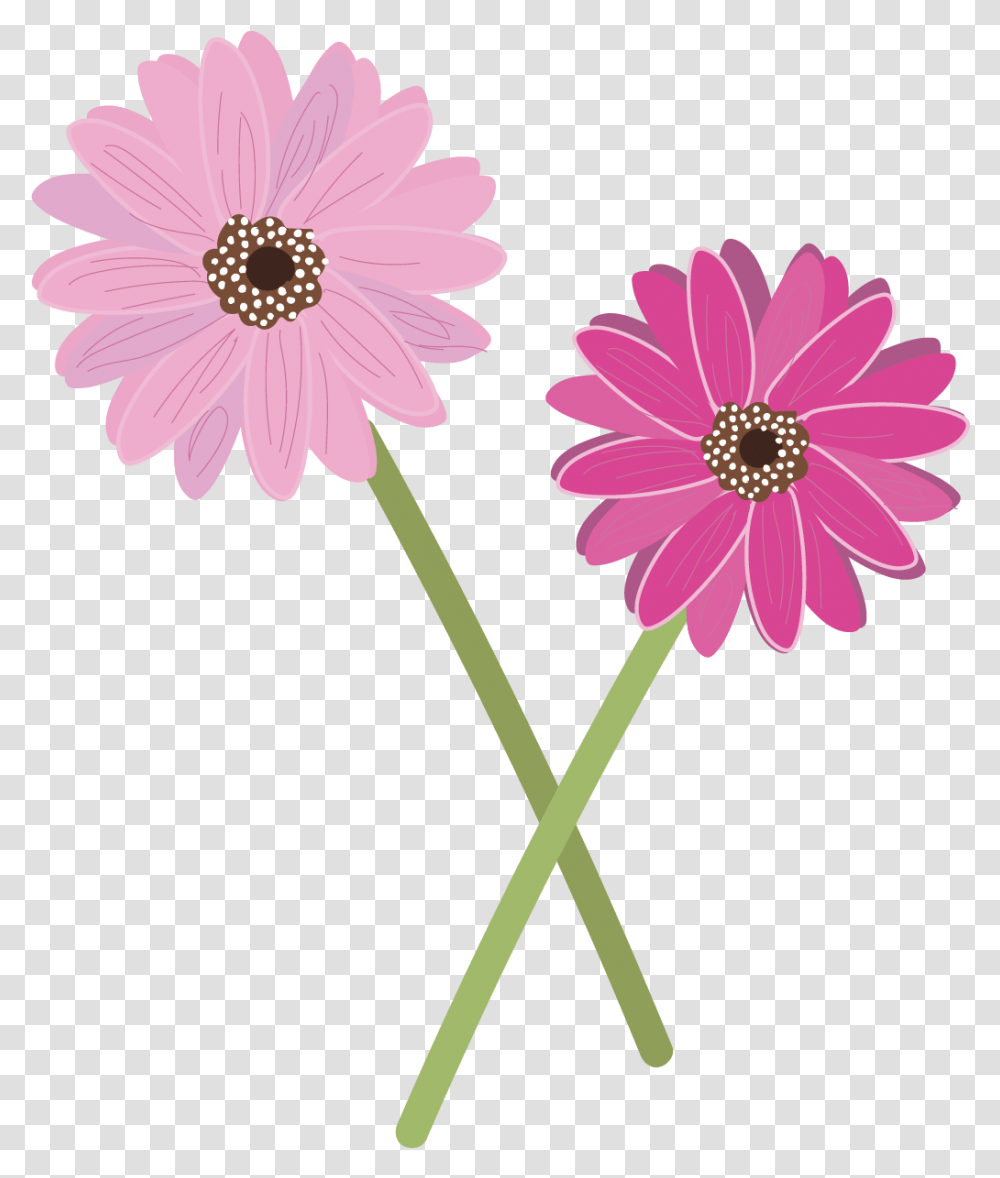 Allen Tate Realtors, Plant, Daisy, Flower, Daisies Transparent Png