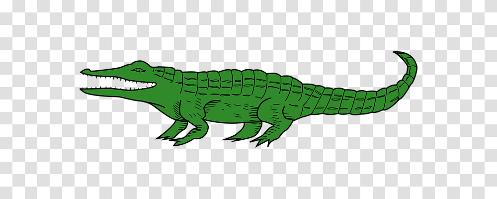 Alligator Animals, Crocodile, Reptile, Lizard Transparent Png