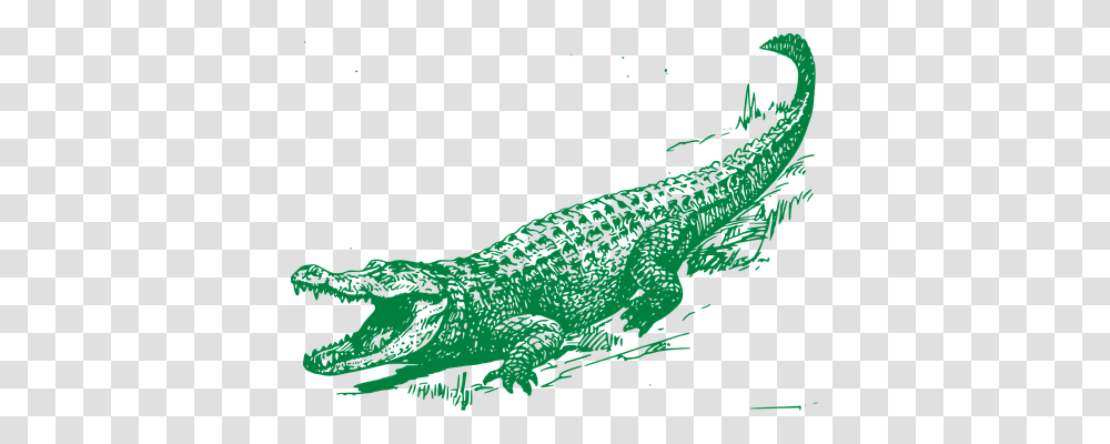 Alligator Nature, Crocodile, Reptile, Animal Transparent Png