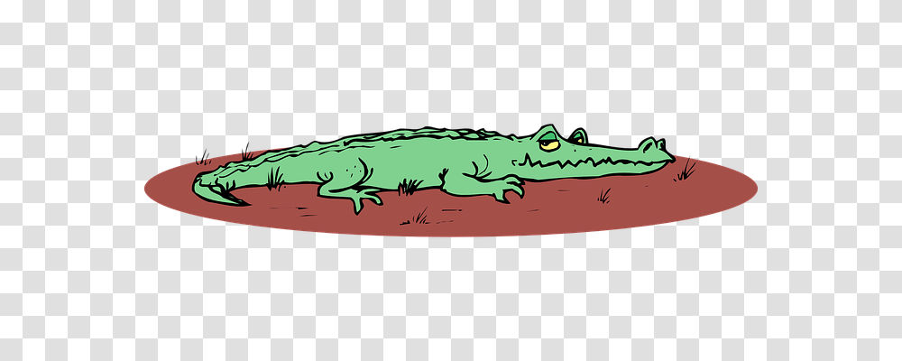 Alligator Emotion, Animal, Amphibian, Wildlife Transparent Png