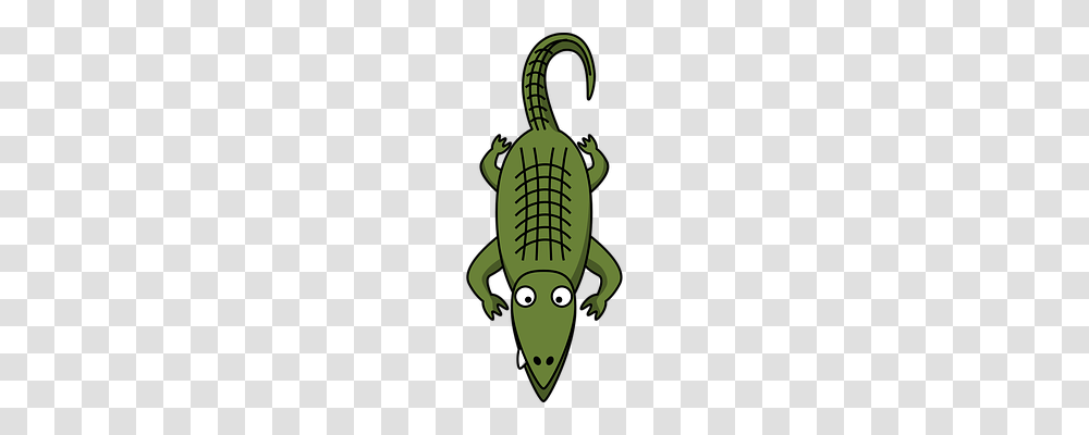 Alligator Nature, Green, Animal, Plant Transparent Png