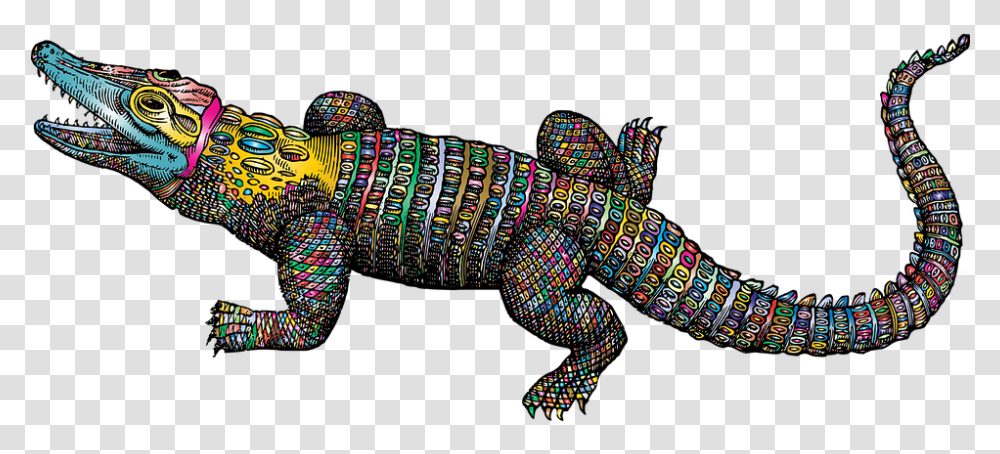 Alligator Art, Animal, Person, Human, Coil Transparent Png