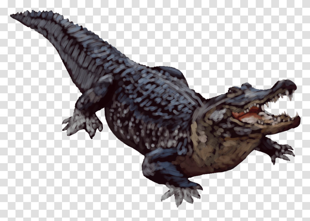 Alligator Background, Bird, Animal, Reptile, Amphibian Transparent Png