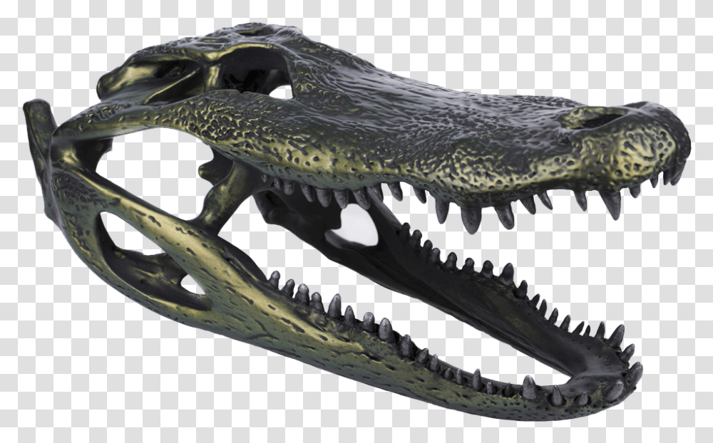 Alligator, Dragon, Reptile, Animal, Fish Transparent Png