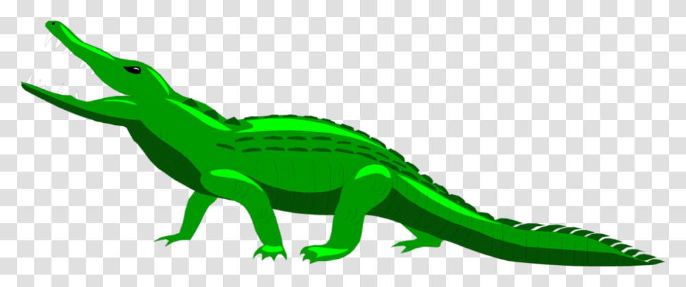 Alligator Free Stock Photo Illustration Of An Alligator, Crocodile, Reptile, Animal, Dinosaur Transparent Png