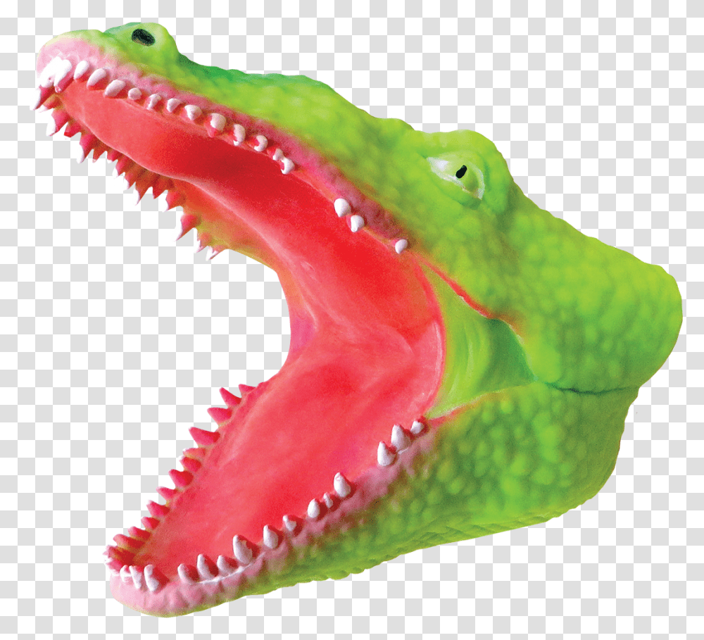 Alligator Head Alligator Puppet Rubber, Animal, Amphibian, Wildlife, Fungus Transparent Png