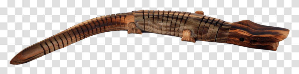 Alligator Lizard, Gun, Weapon, Weaponry, Leisure Activities Transparent Png