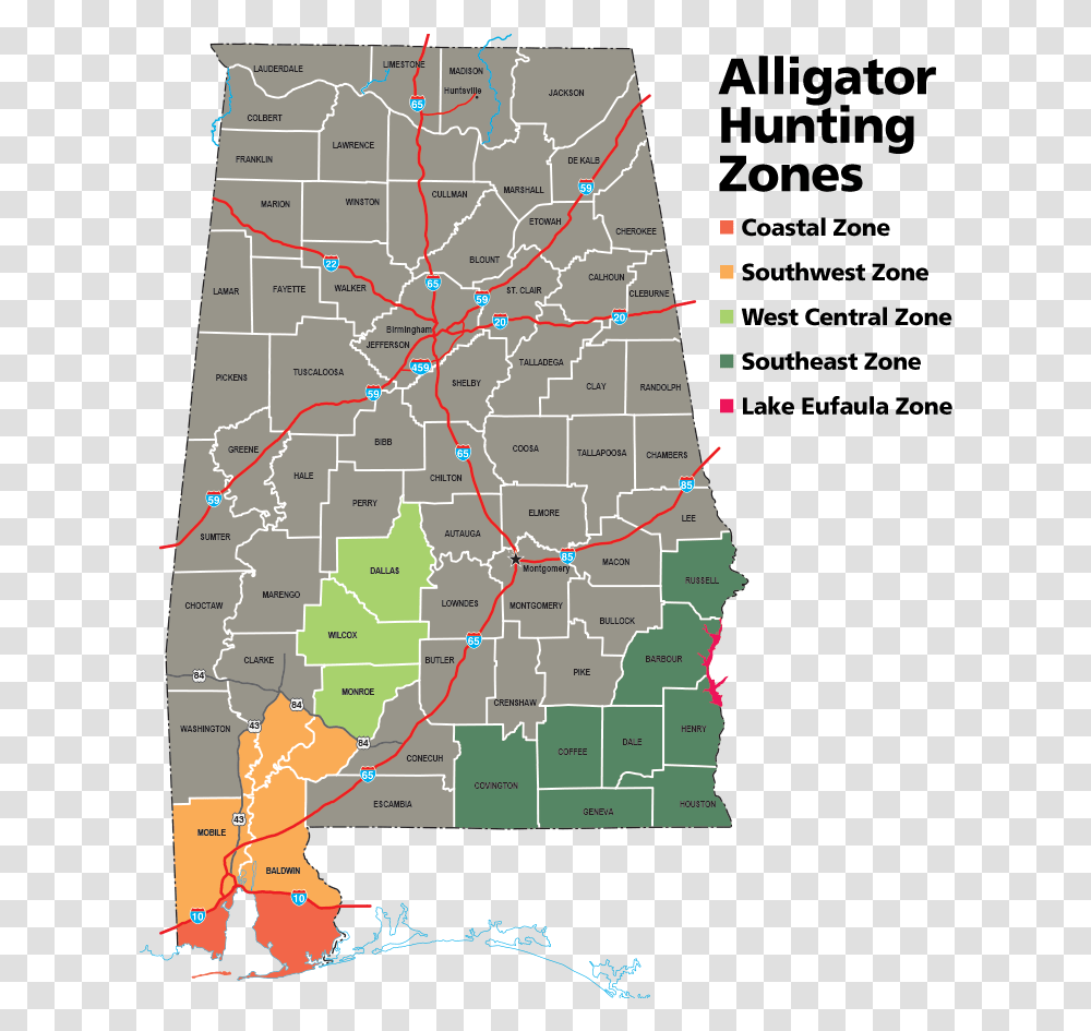 Alligator, Map, Diagram, Plot, Atlas Transparent Png