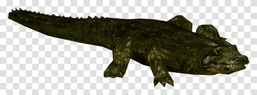 Alligator Prenasalis, Animal, Fish, Reptile, Dinosaur Transparent Png