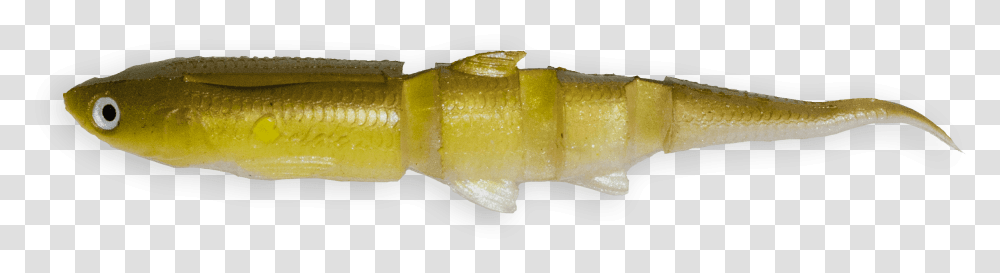 Alligator, Sweets, Food, Confectionery, Peel Transparent Png