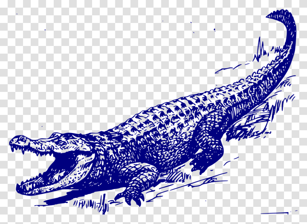 Alligator Vector, Crocodile, Reptile, Animal Transparent Png