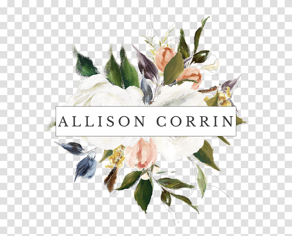 Allison Corrin Photography Floral, Plant, Graphics, Art, Floral Design Transparent Png