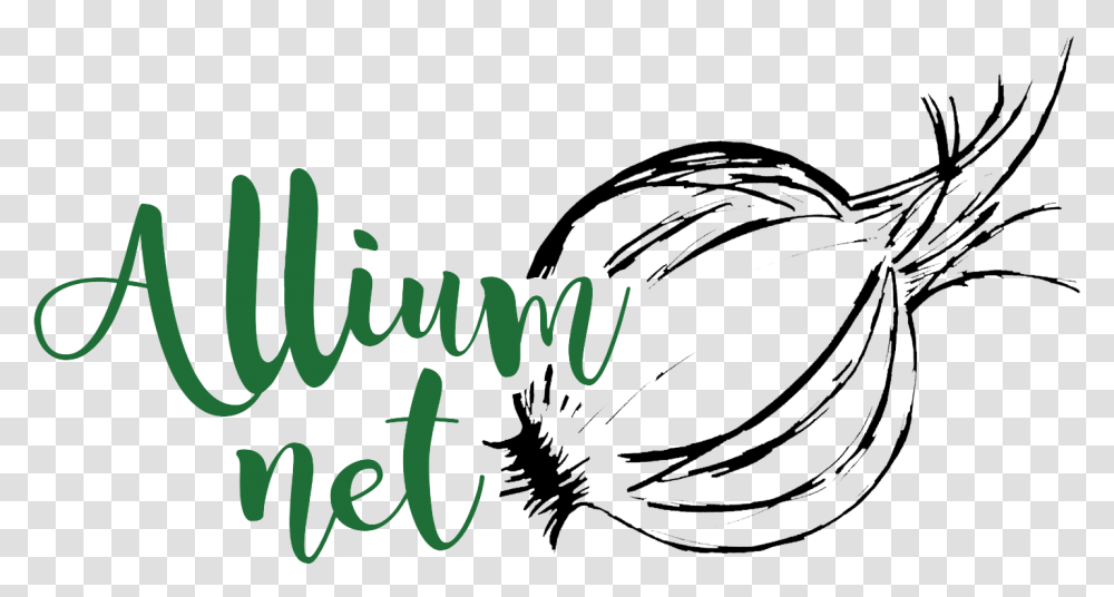 Alliumnet Red Onion, Handwriting, Calligraphy, Plant Transparent Png