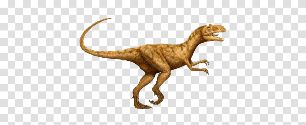 Allosaurus Dinosaur, Fantasy, Reptile, Animal, T-Rex Transparent Png