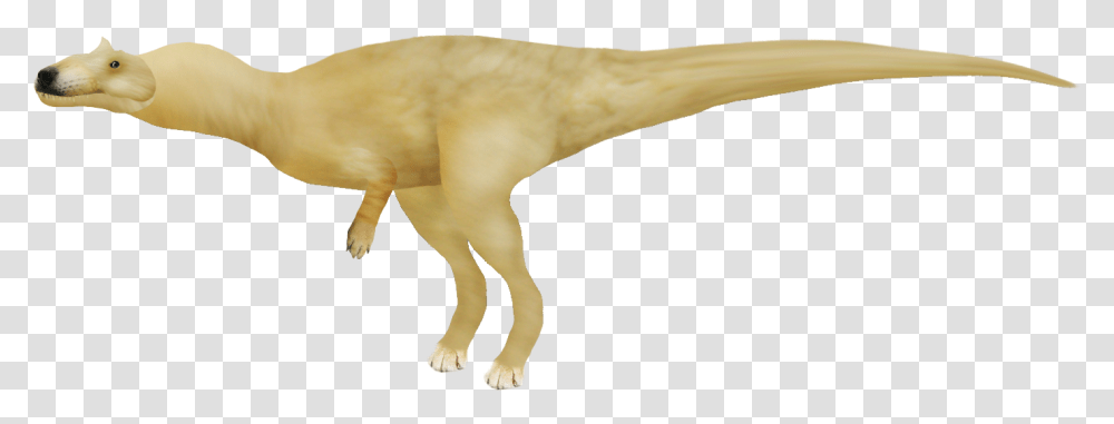 Allosaurus Doge More In Comments Rdogelore Animal Figure, Bird, Dinosaur, Reptile, Mammal Transparent Png