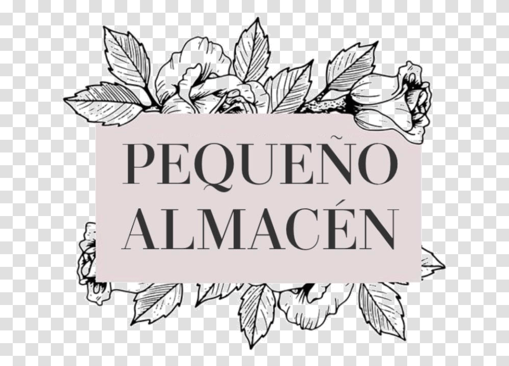 Almacn De Cojines Rebelle Beauty, Potted Plant, Vase, Jar, Pottery Transparent Png