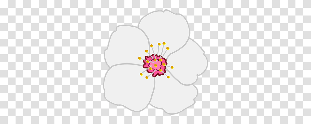 Almond Plant, Flower, Blossom, Hibiscus Transparent Png