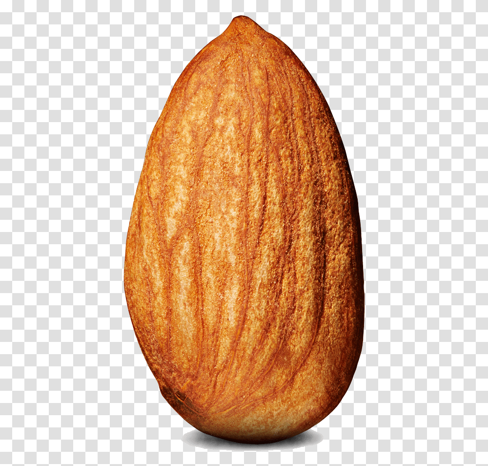 Almond Almond Background, Plant, Bread, Food, Sweets Transparent Png