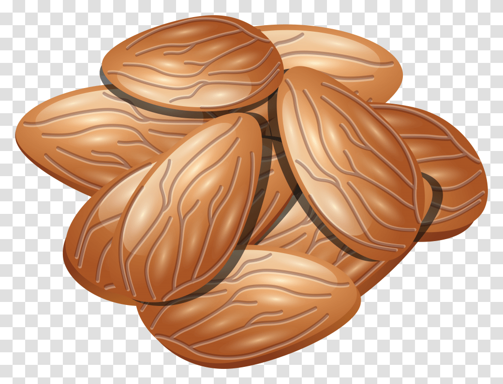 Almond Almond Icon, Plant, Apparel, Vegetable Transparent Png