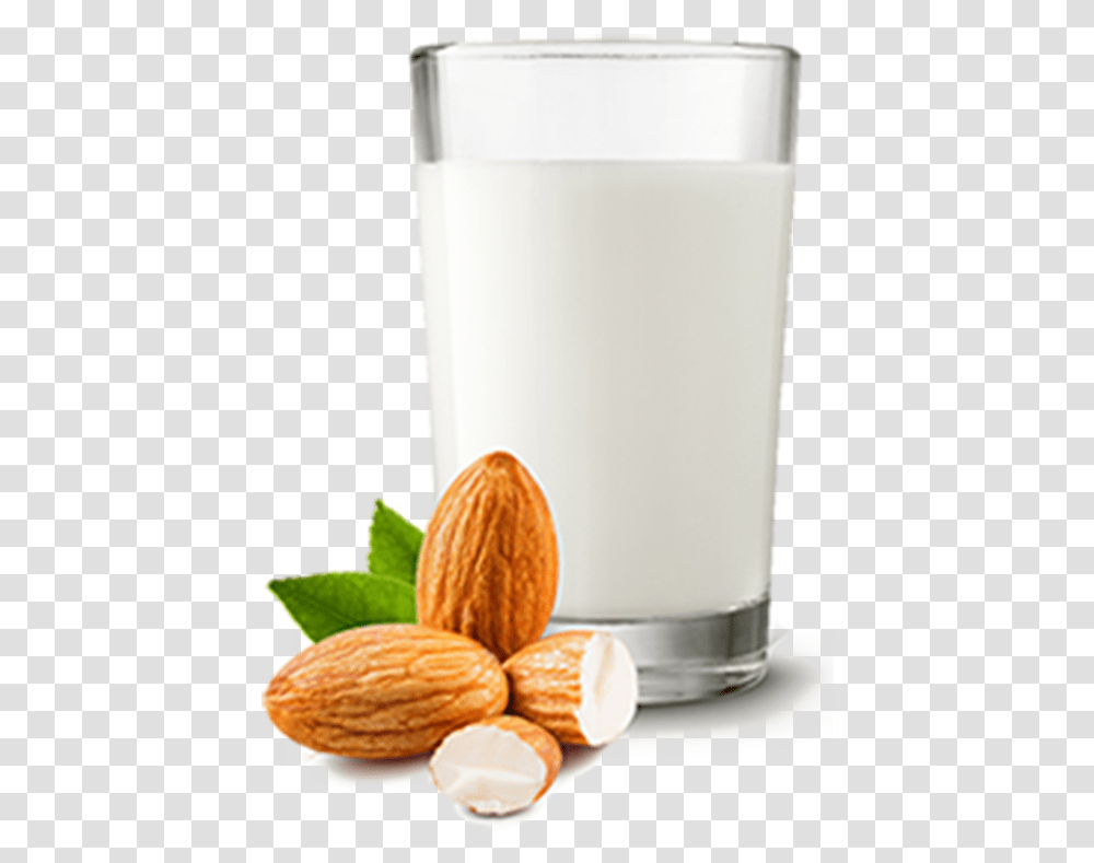 Almond Almond Milk, Plant, Nut, Vegetable, Food Transparent Png