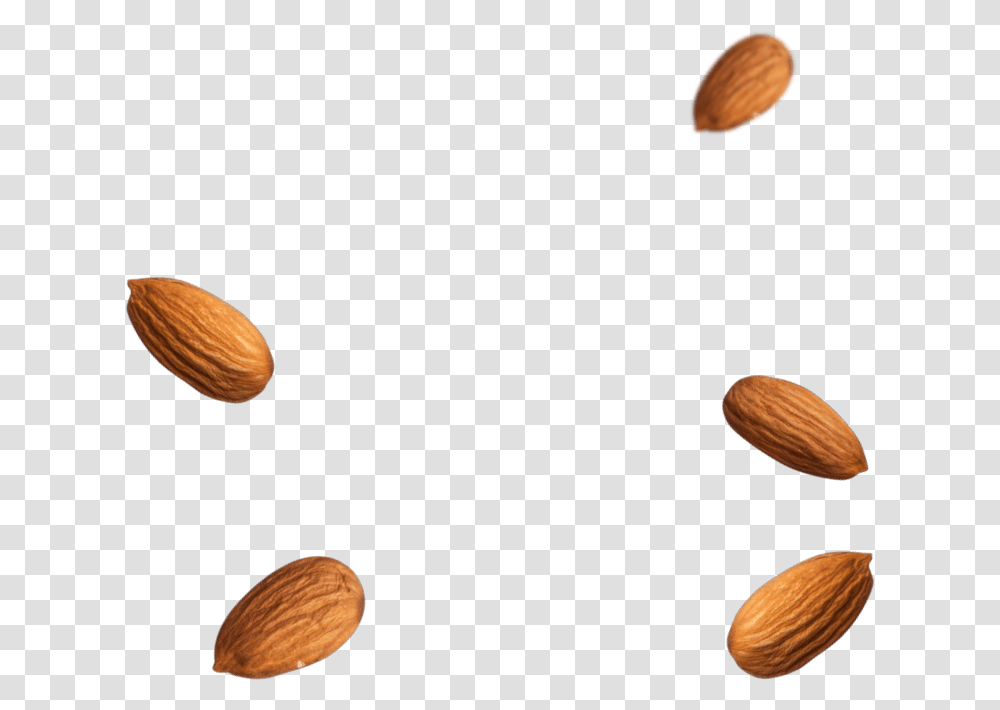Almond Almond, Nut, Vegetable, Plant, Food Transparent Png