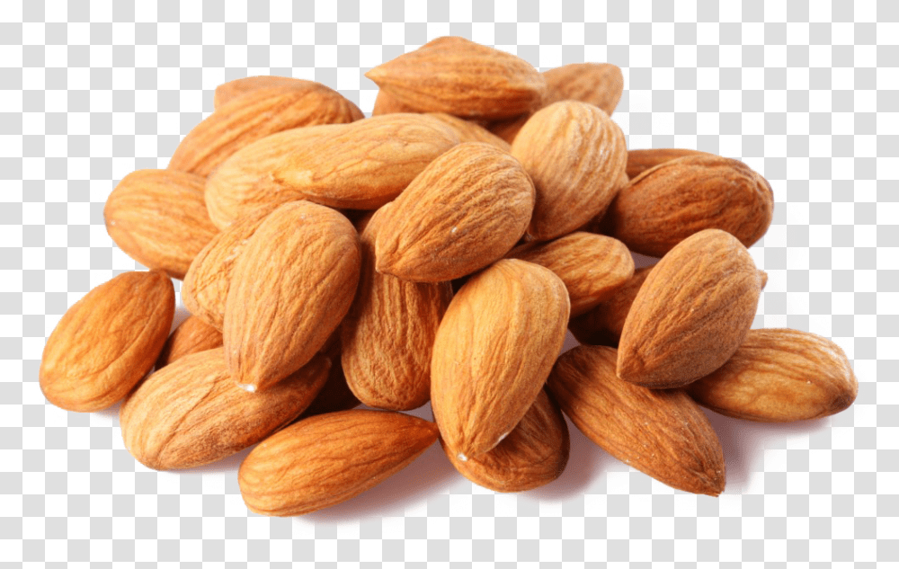 Almond Almonds, Plant, Nut, Vegetable, Food Transparent Png
