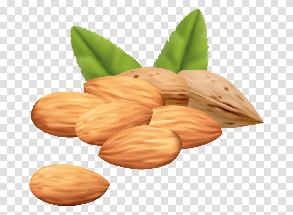 Almond Background Almond Clipart, Nut, Vegetable, Plant, Food Transparent Png