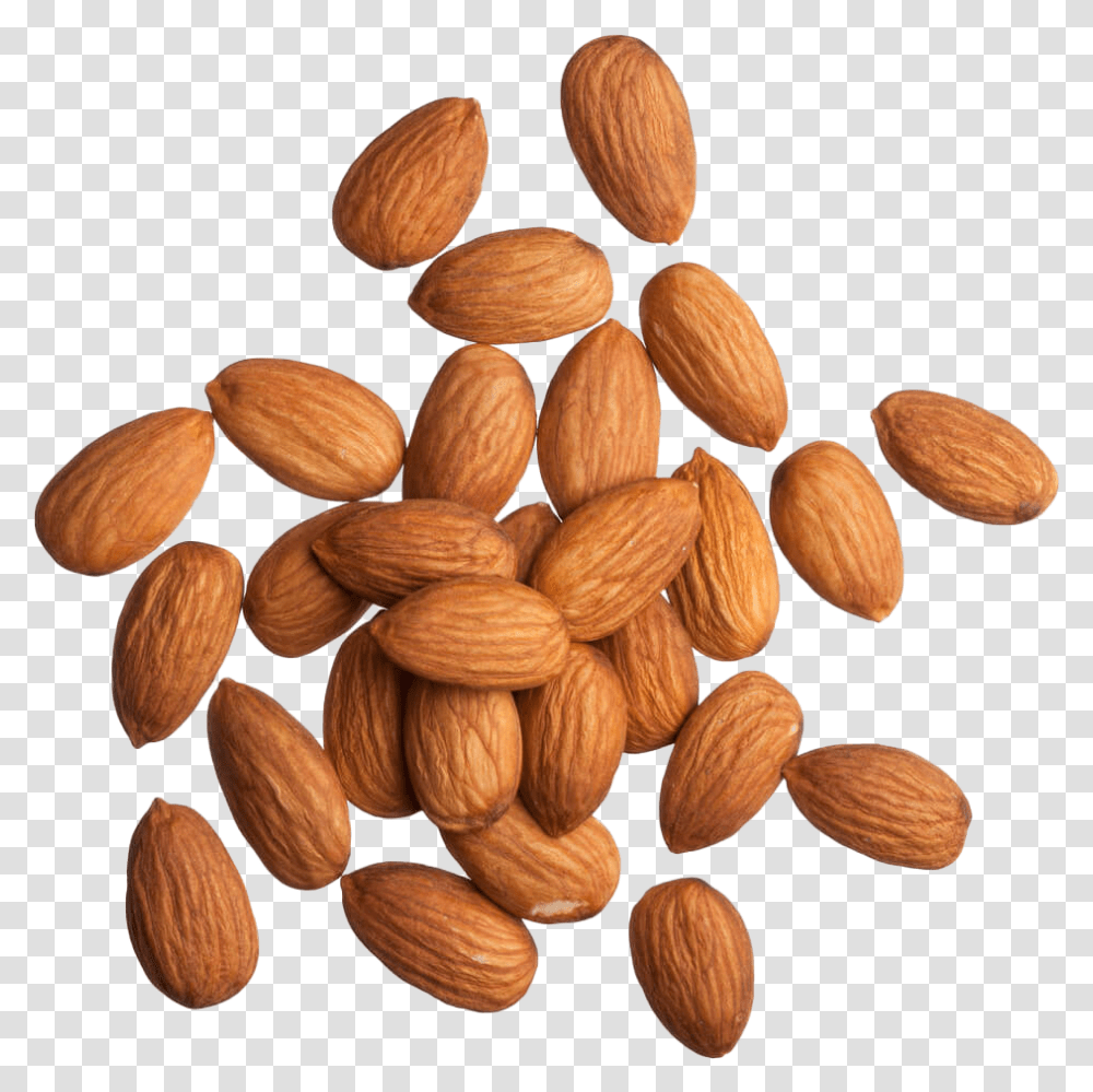 Almond Background Almond, Nut, Vegetable, Plant, Food Transparent Png