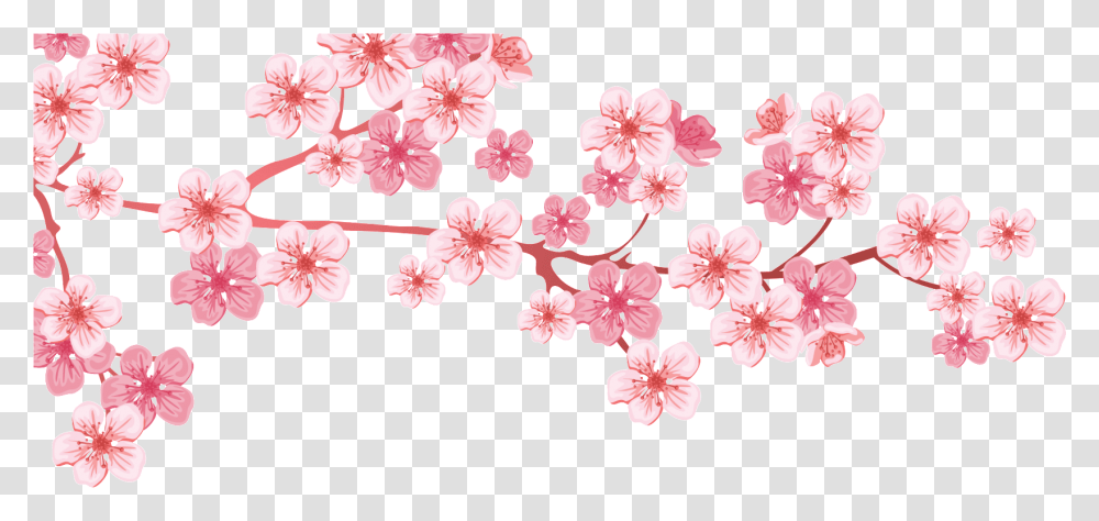 Almond Cherry Blossom Tree Branch, Plant, Flower, Rug Transparent Png