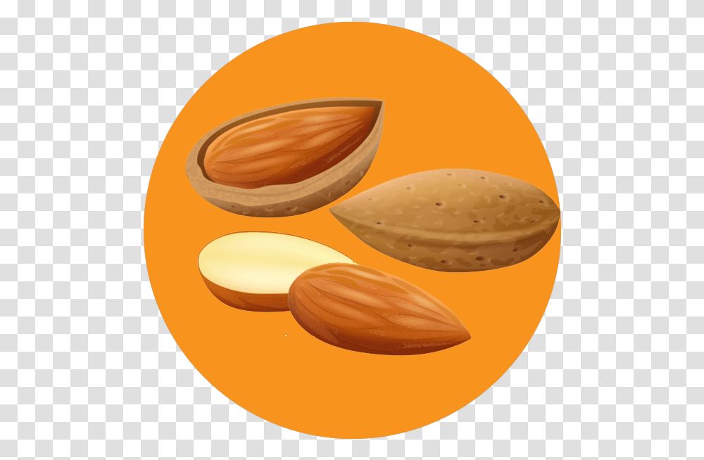 Almond Chocolate, Plant, Nut, Vegetable, Food Transparent Png