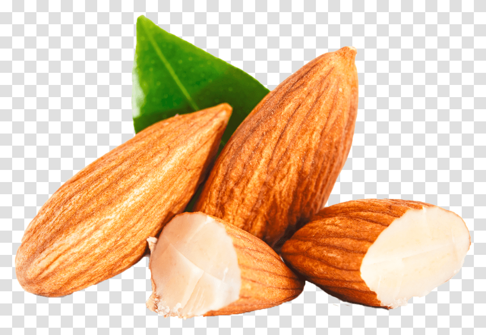 Almond Clipart Almond Clipart, Nut, Vegetable, Plant, Food Transparent Png