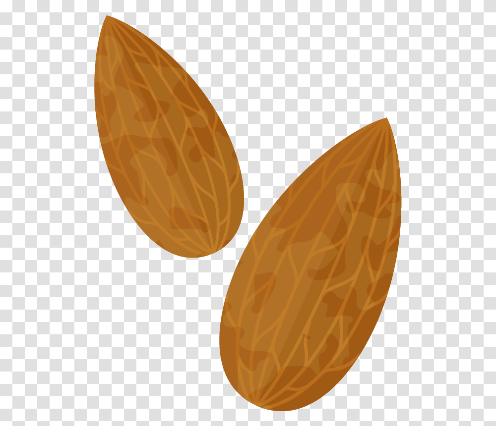 Almond Clipart Image Background Almonds Animated, Nut, Vegetable, Plant, Food Transparent Png