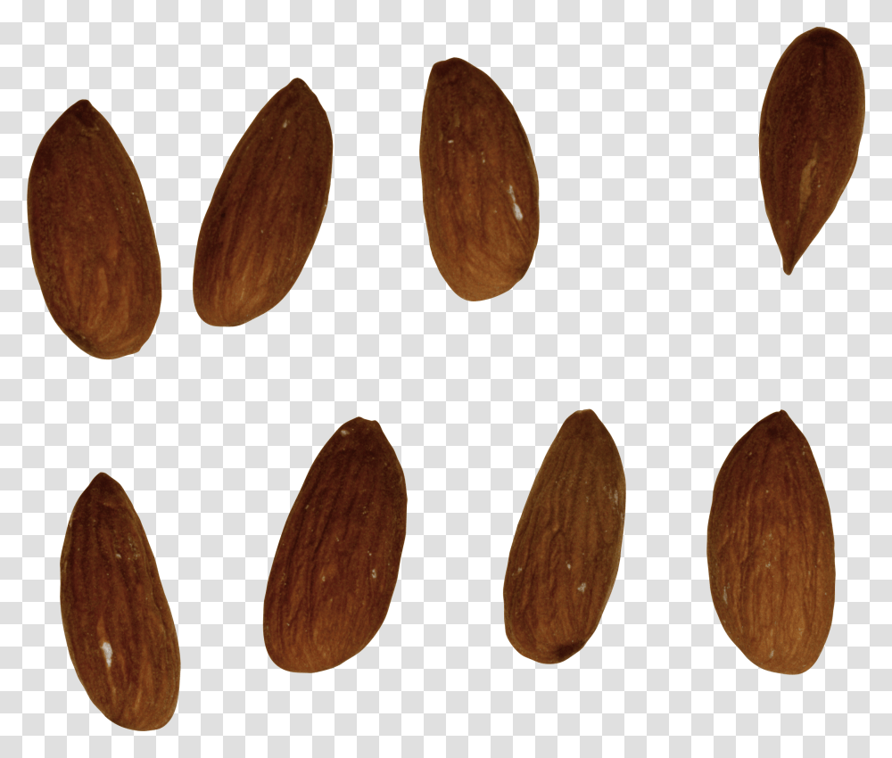 Almond, Cutlery, Plant, Spoon, Nut Transparent Png