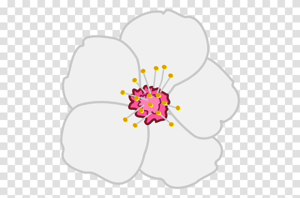 Almond Flower Clip Art, Plant, Blossom, Hibiscus, Pollen Transparent Png
