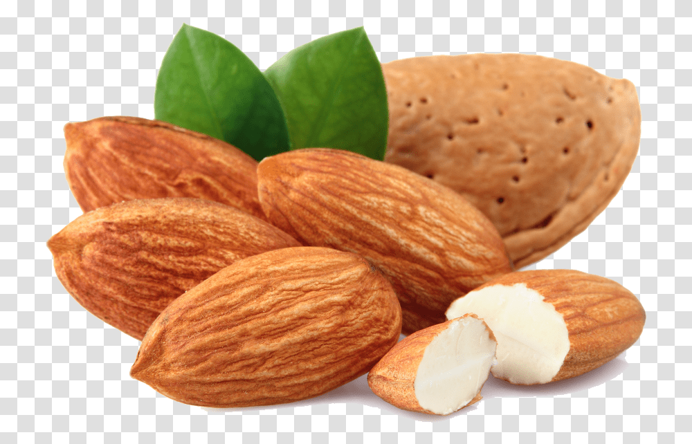 Almond Free Almond, Nut, Vegetable, Plant, Food Transparent Png