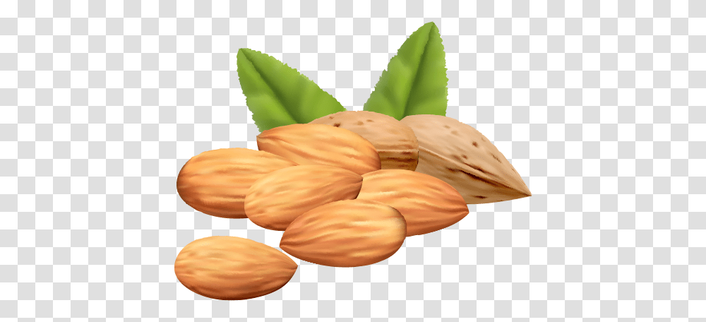 Almond Free Images Only, Nut, Vegetable, Plant, Food Transparent Png