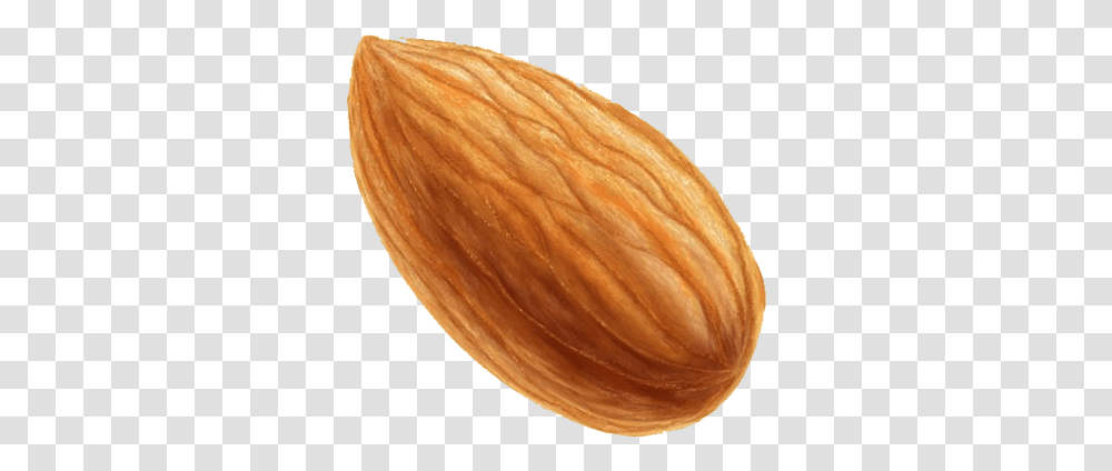 Almond Free Images Tree Almond, Plant, Nut, Vegetable, Food Transparent Png