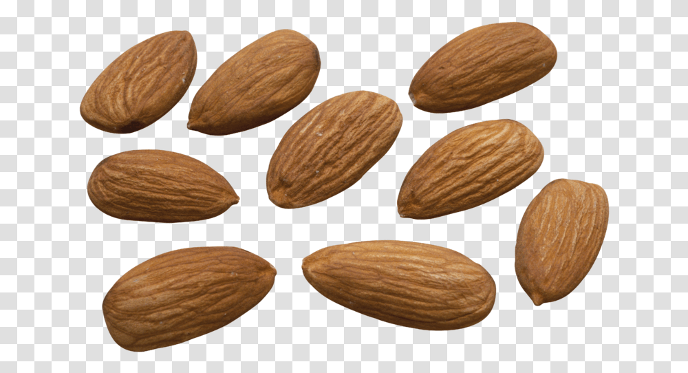 Almond High Resolution, Plant, Nut, Vegetable, Food Transparent Png