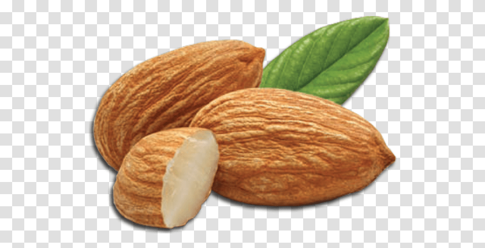 Almond Images Almonds Background, Plant, Nut, Vegetable, Food Transparent Png