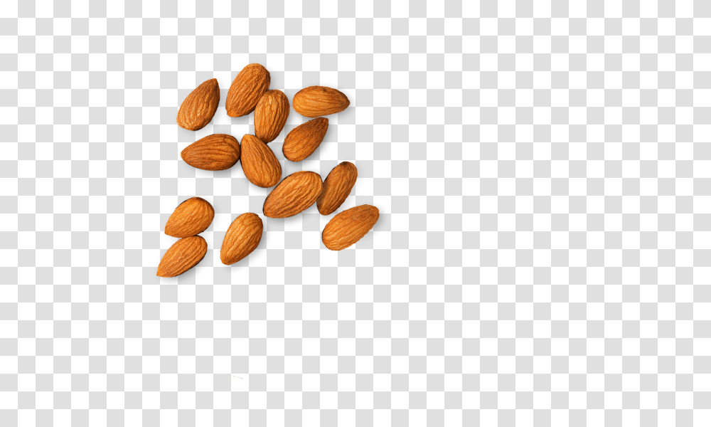 Almond Images Free Download, Plant, Nut, Vegetable, Food Transparent Png