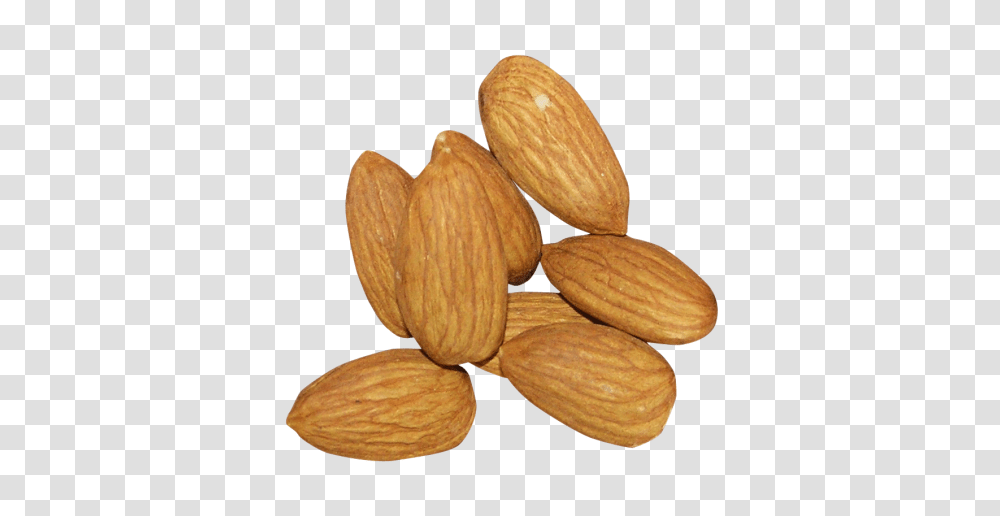 Almond Images Free Download, Plant, Nut, Vegetable, Food Transparent Png