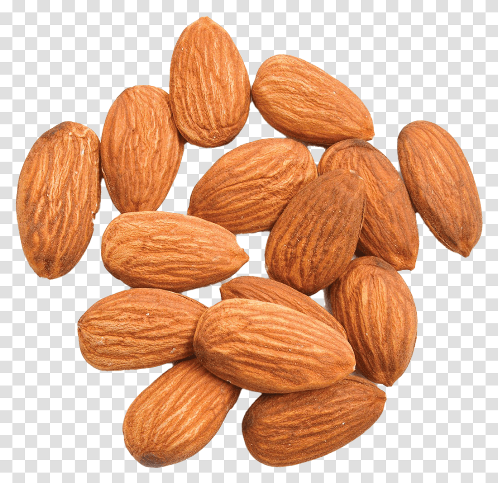 Almond Images Health Benefits Of Eating Dry Fruits, Nut, Vegetable, Plant, Food Transparent Png