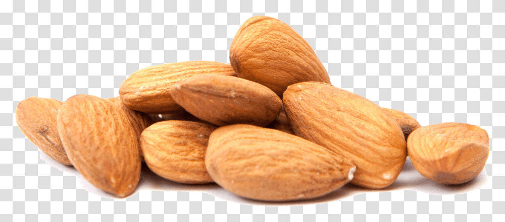 Almond Milk Clip Art Nut Food Almond File, Vegetable, Plant, Fungus, Bread Transparent Png