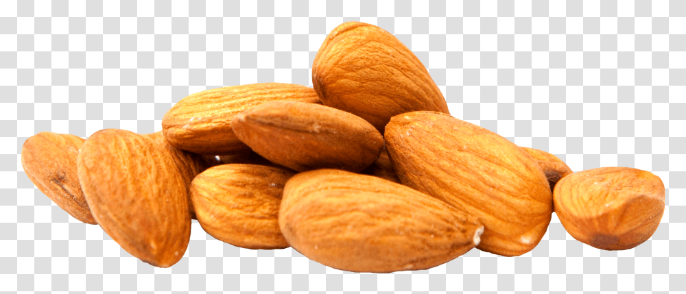 Almond Milk Nut Clip Art Almonds, Vegetable, Plant, Food, Fungus Transparent Png