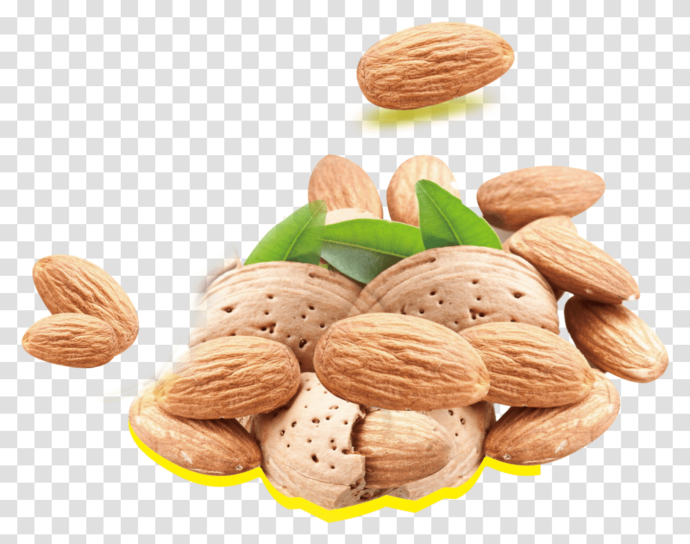 Almond Milk Nutrient Nutrition Fat Nuts Almond, Vegetable, Plant, Food, Fungus Transparent Png