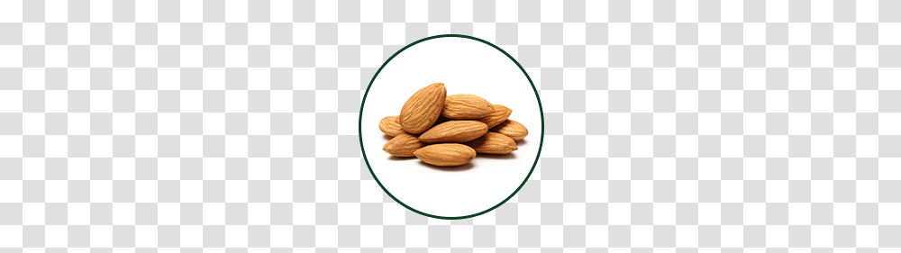 Almond Neetasherbal, Plant, Nut, Vegetable, Food Transparent Png