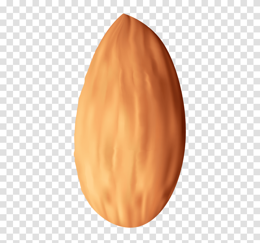 Almond Nut, Plant, Vegetable, Food, Person Transparent Png